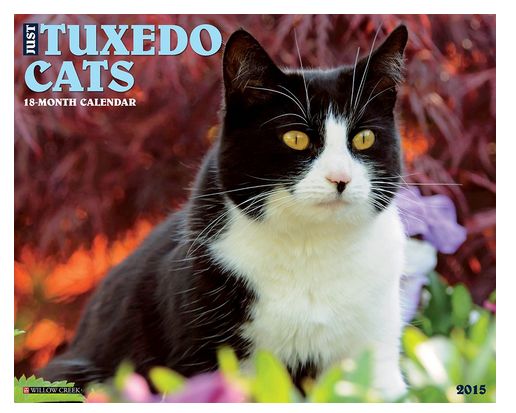 Tuxedo Cat Calendar 2015